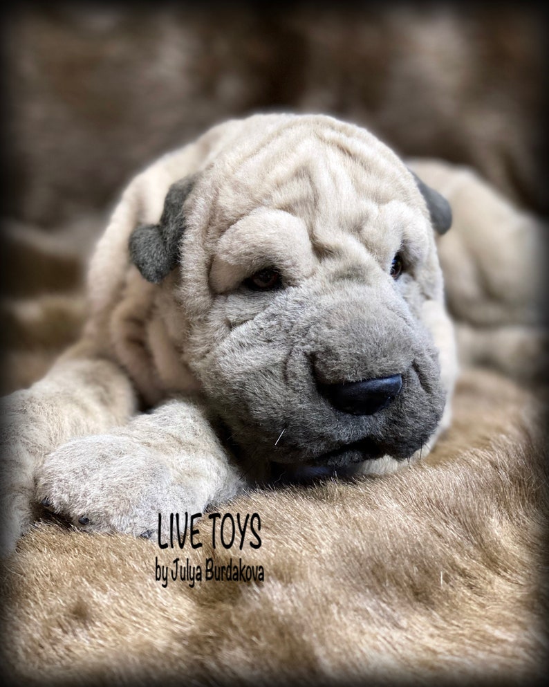 Shar pei plush shar pei puppy stuffed animals pet replica | Etsy