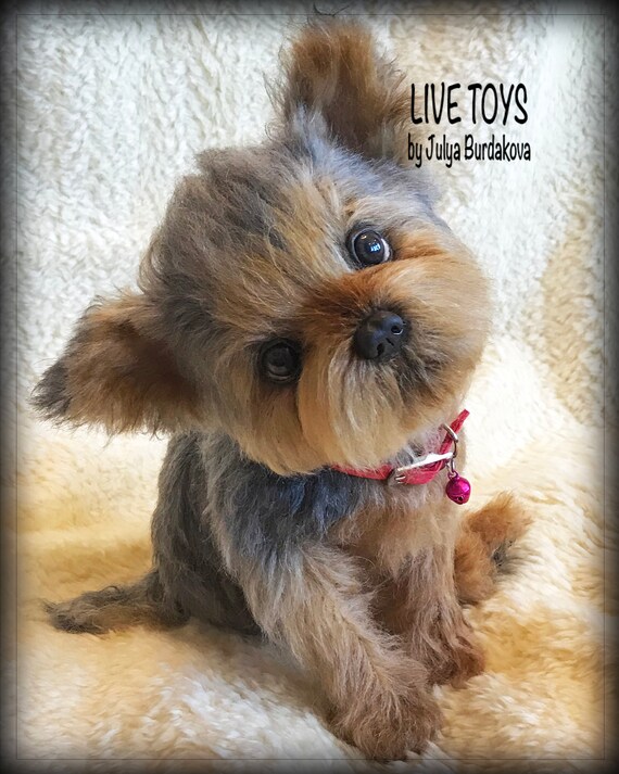 yorkie doll