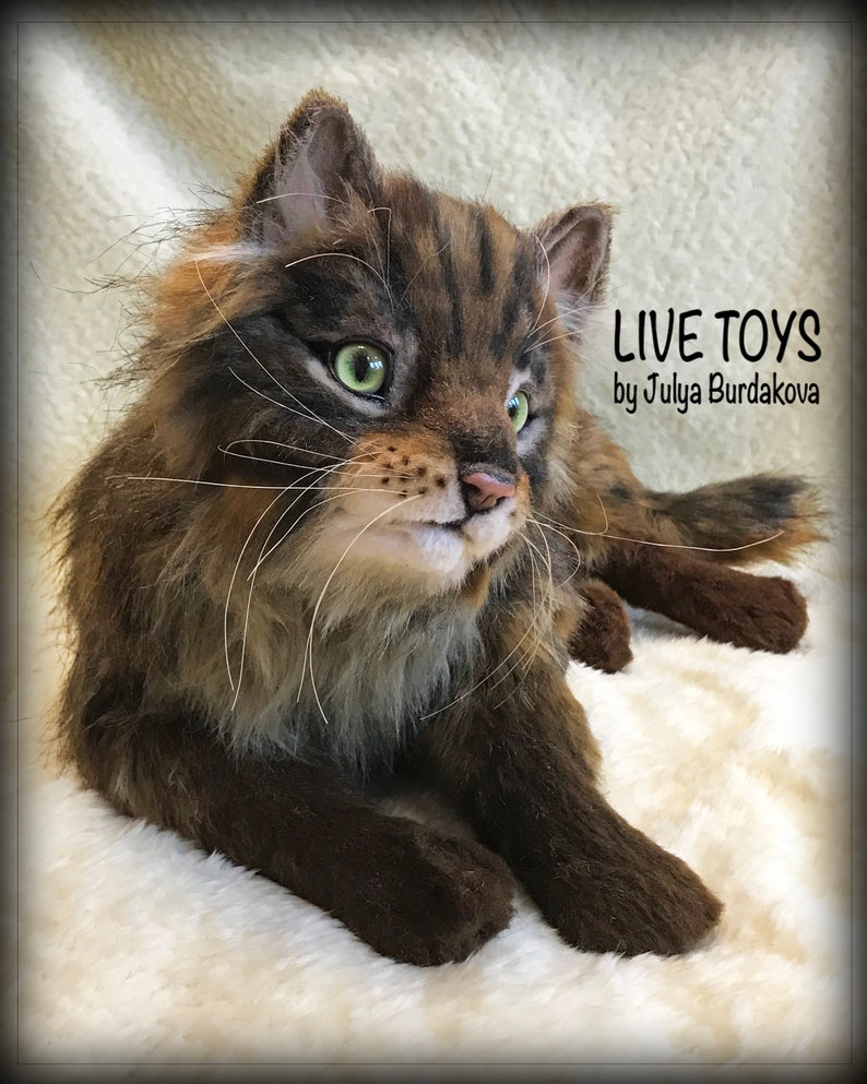 Stuffed cat Maine coon custom pet portrait realistic toy Etsy