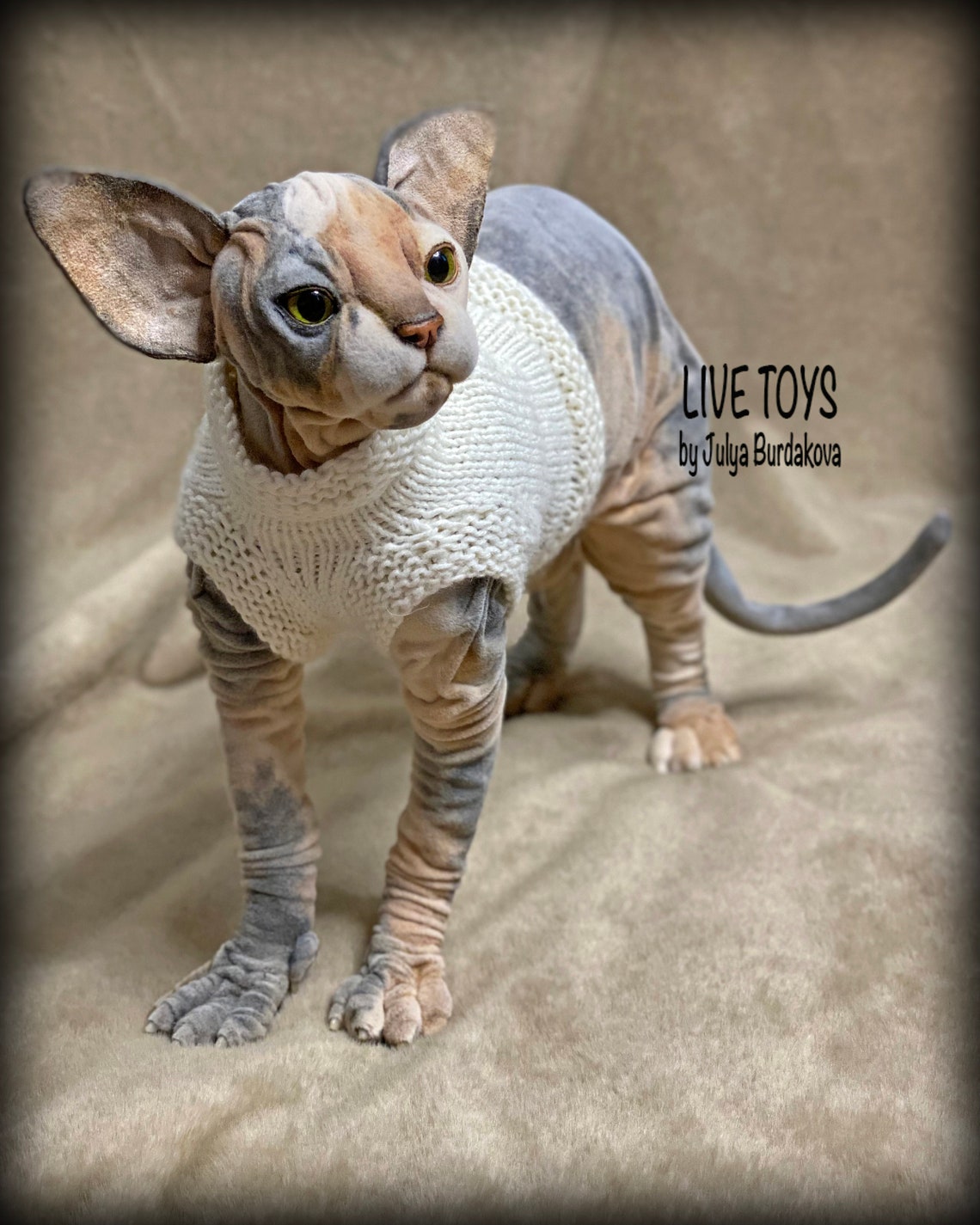 Sphynx cat Tricolor cat Realistic Plush Cat replica Pet | Etsy