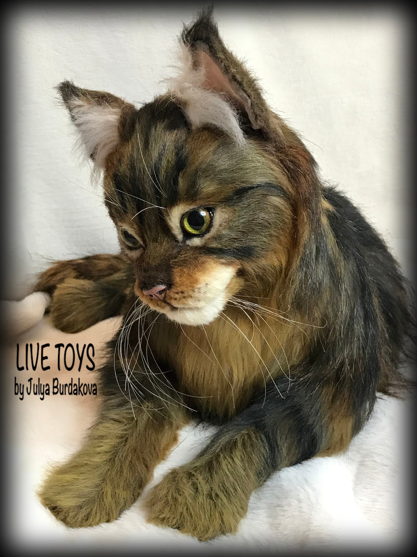 Stuffed cat Maine coon custom pet portrait realistic toy Etsy
