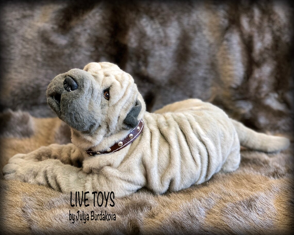 Shar pei plush shar pei puppy stuffed animals pet replica | Etsy