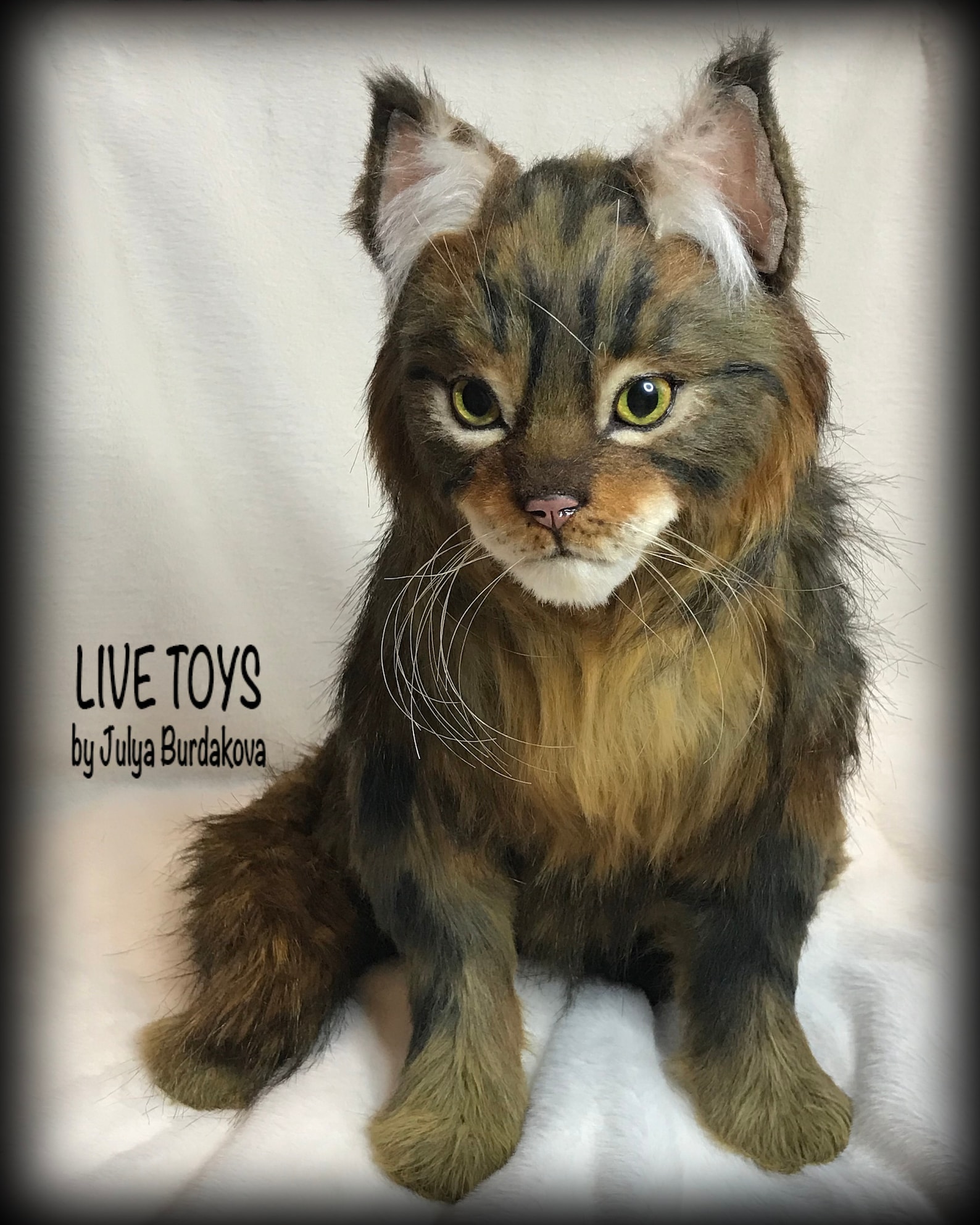 Stuffed cat Maine coon custom pet portrait realistic toy Etsy