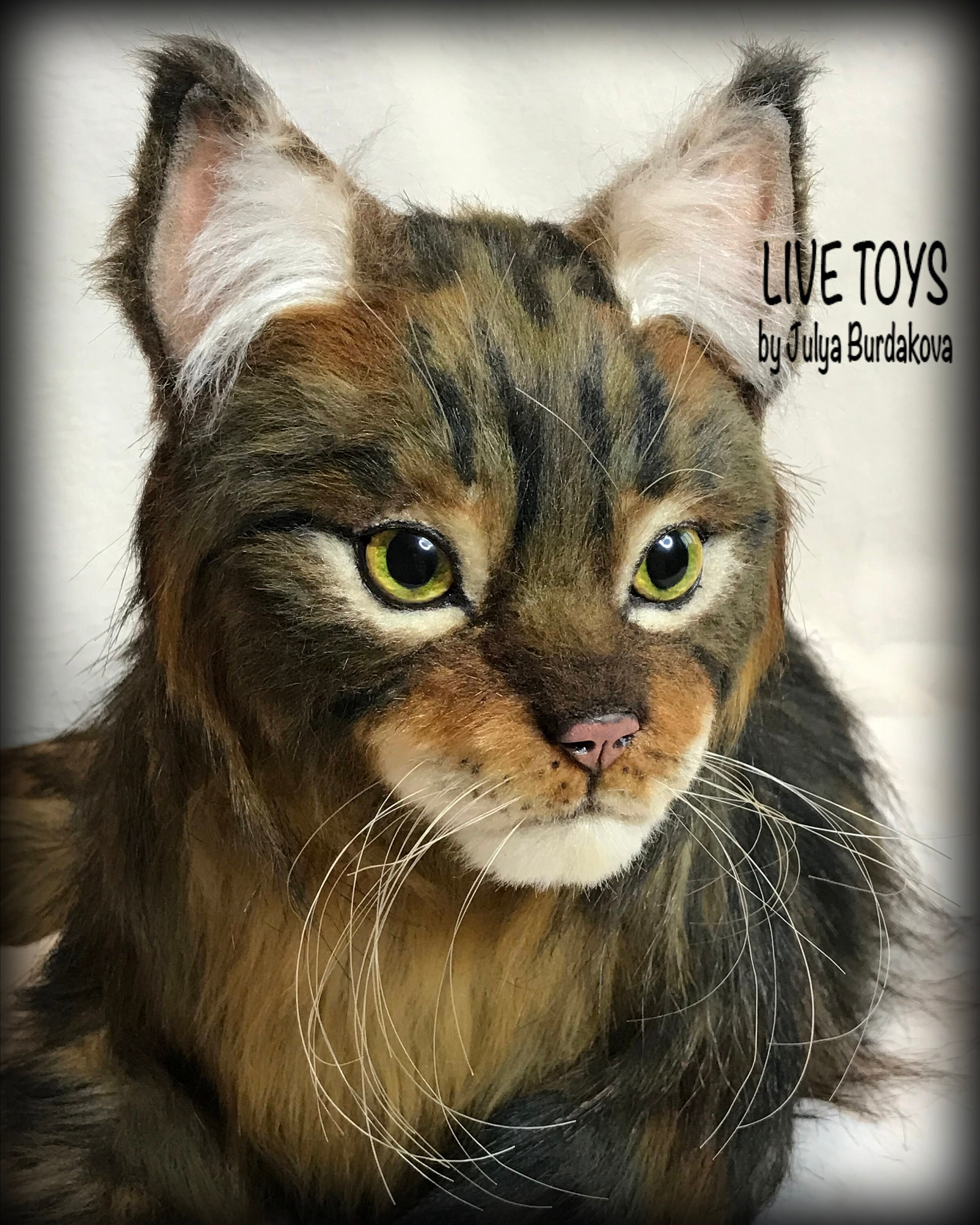Stuffed cat Maine coon custom pet portrait realistic toy Etsy