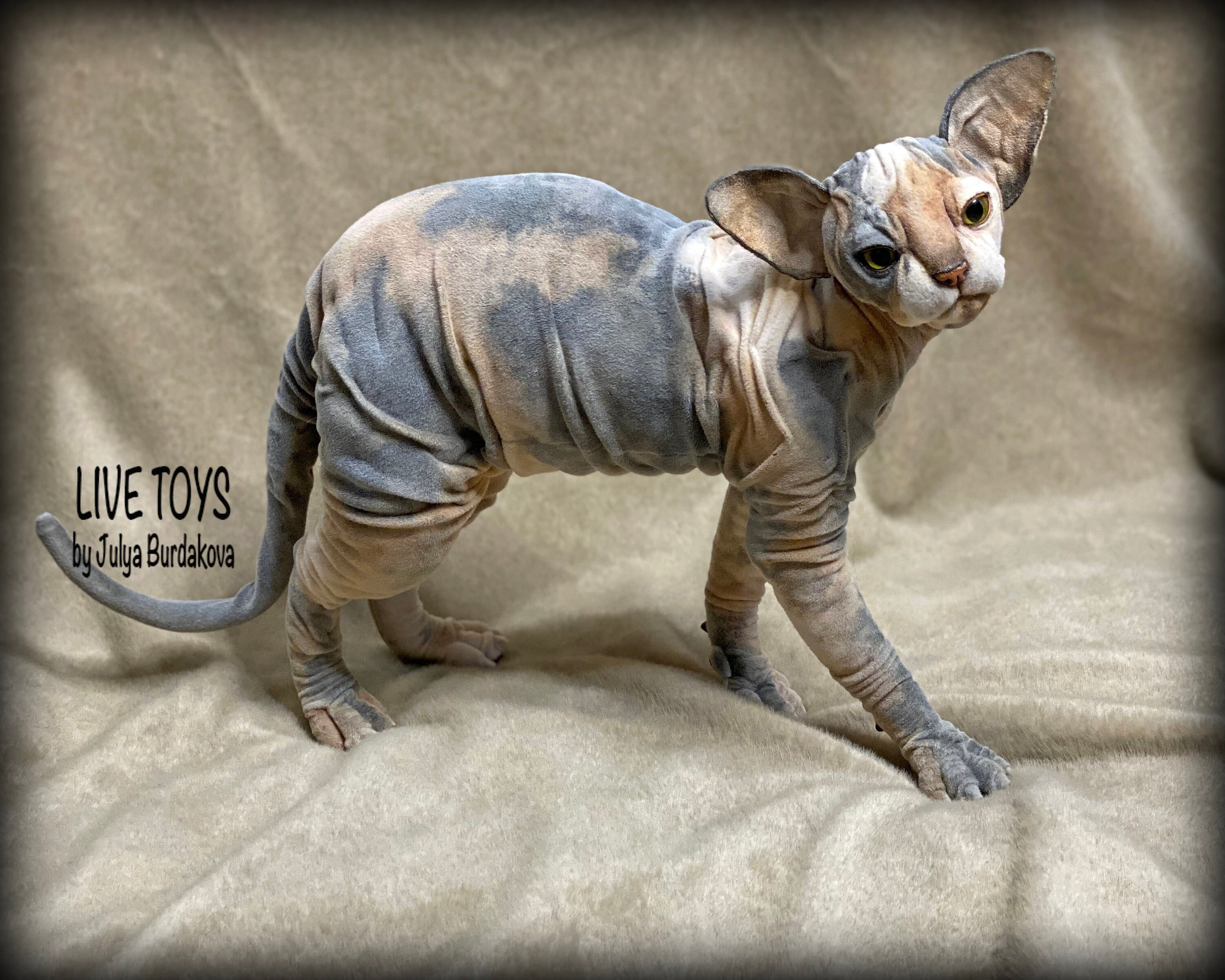 stuffed sphynx cat