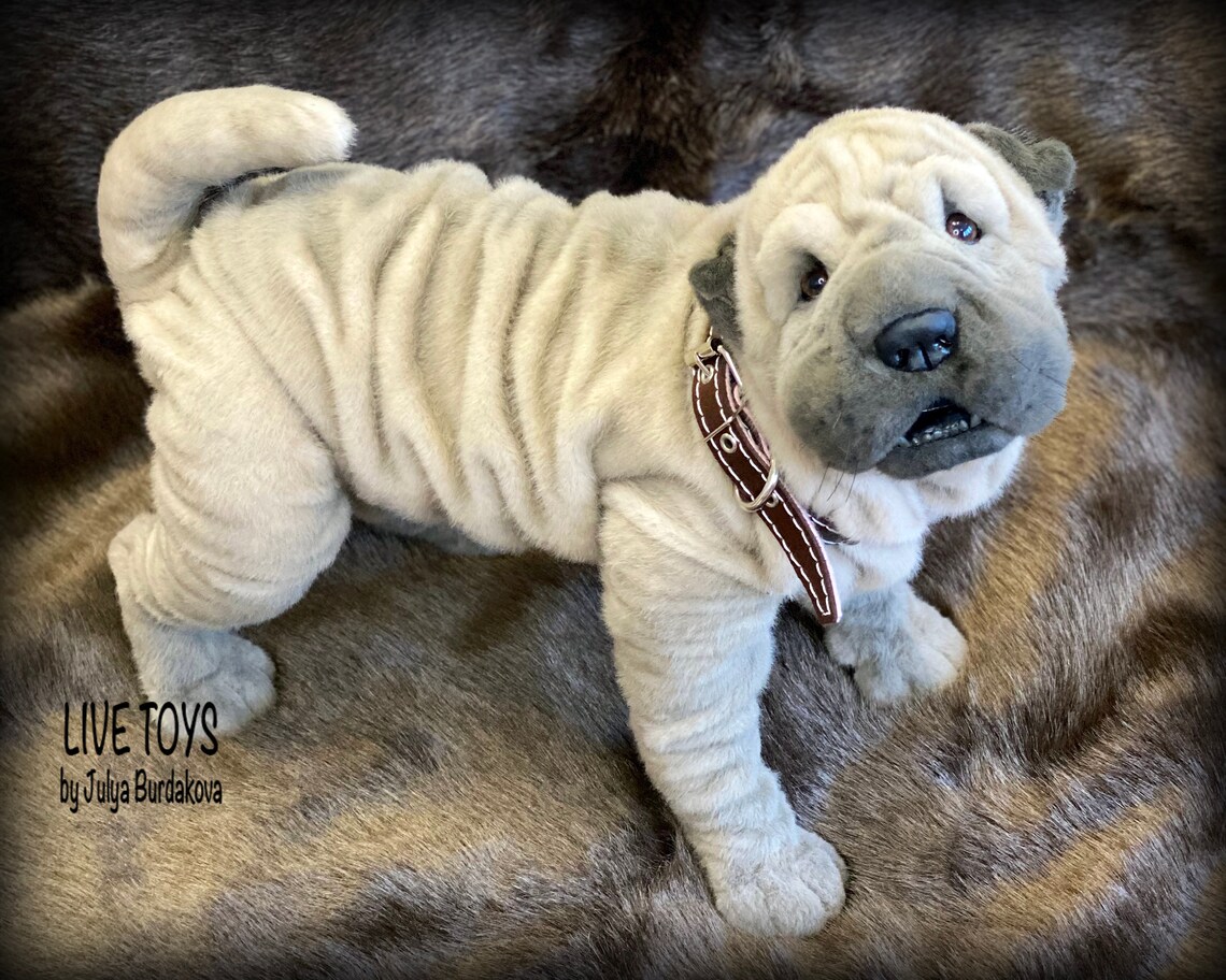 Shar pei plush shar pei puppy stuffed animals pet replica | Etsy