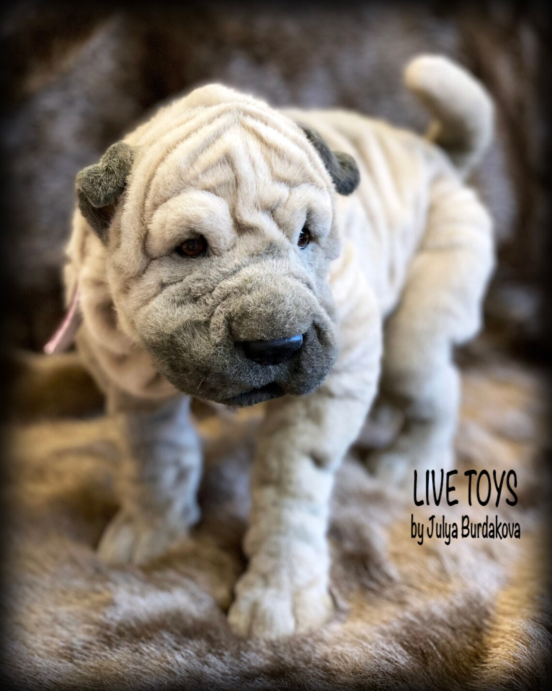 Shar pei plush shar pei puppy stuffed animals pet replica | Etsy