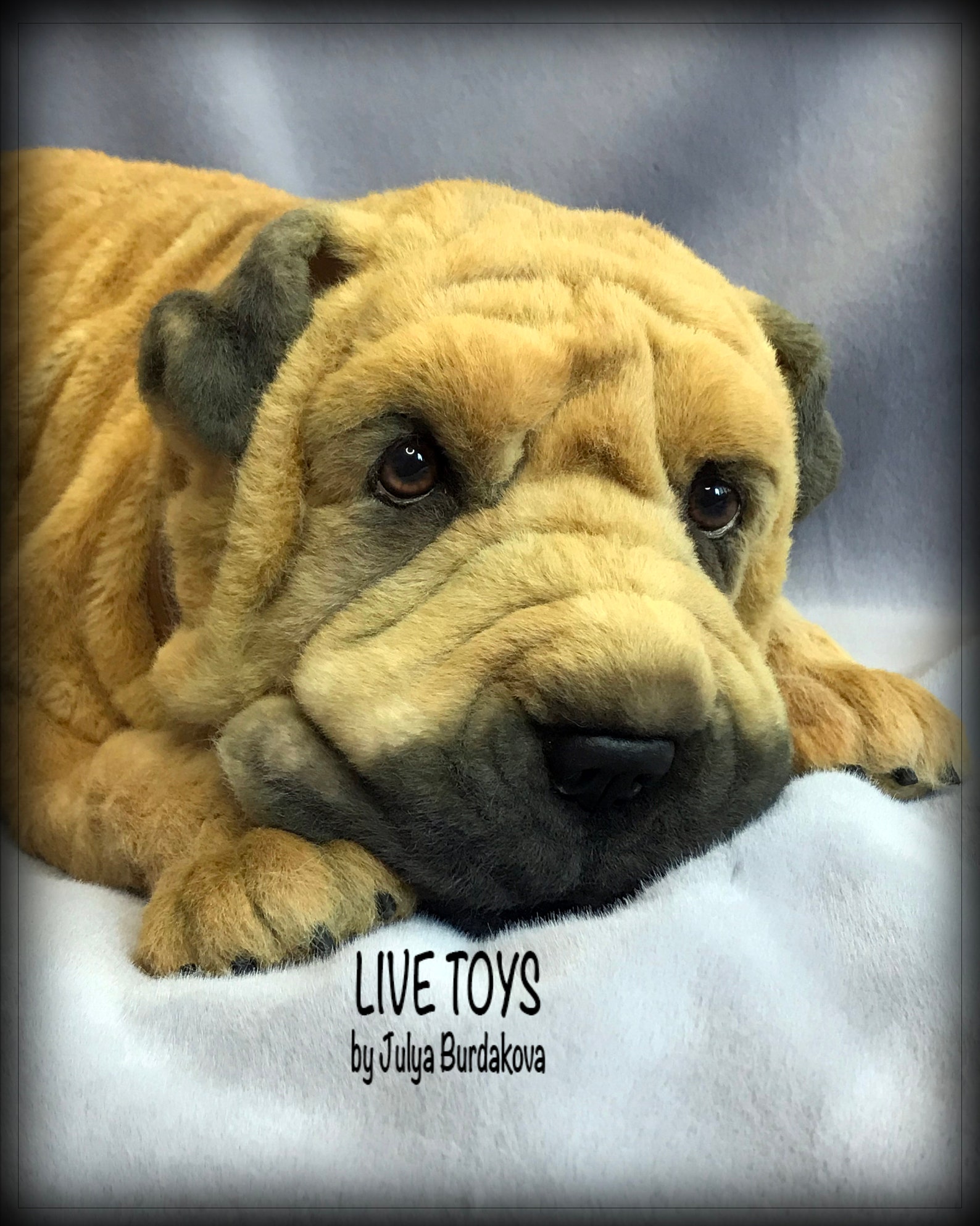 Shar Pei Plush Shar Pei Puppy Puff Stuffed Animals Mohair | Etsy