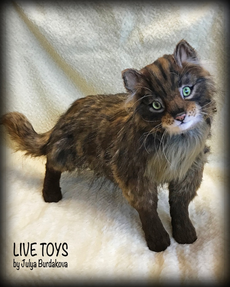 Stuffed cat Maine coon custom pet portrait realistic toy Etsy