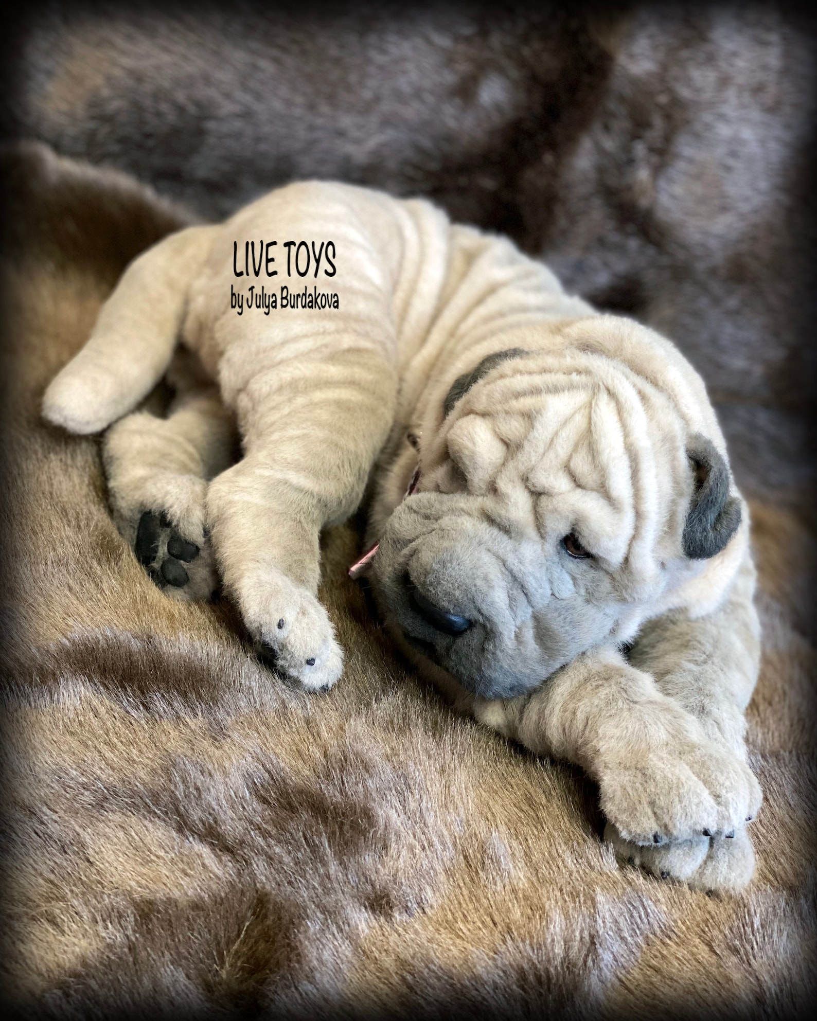 Shar pei plush shar pei puppy stuffed animals pet replica | Etsy