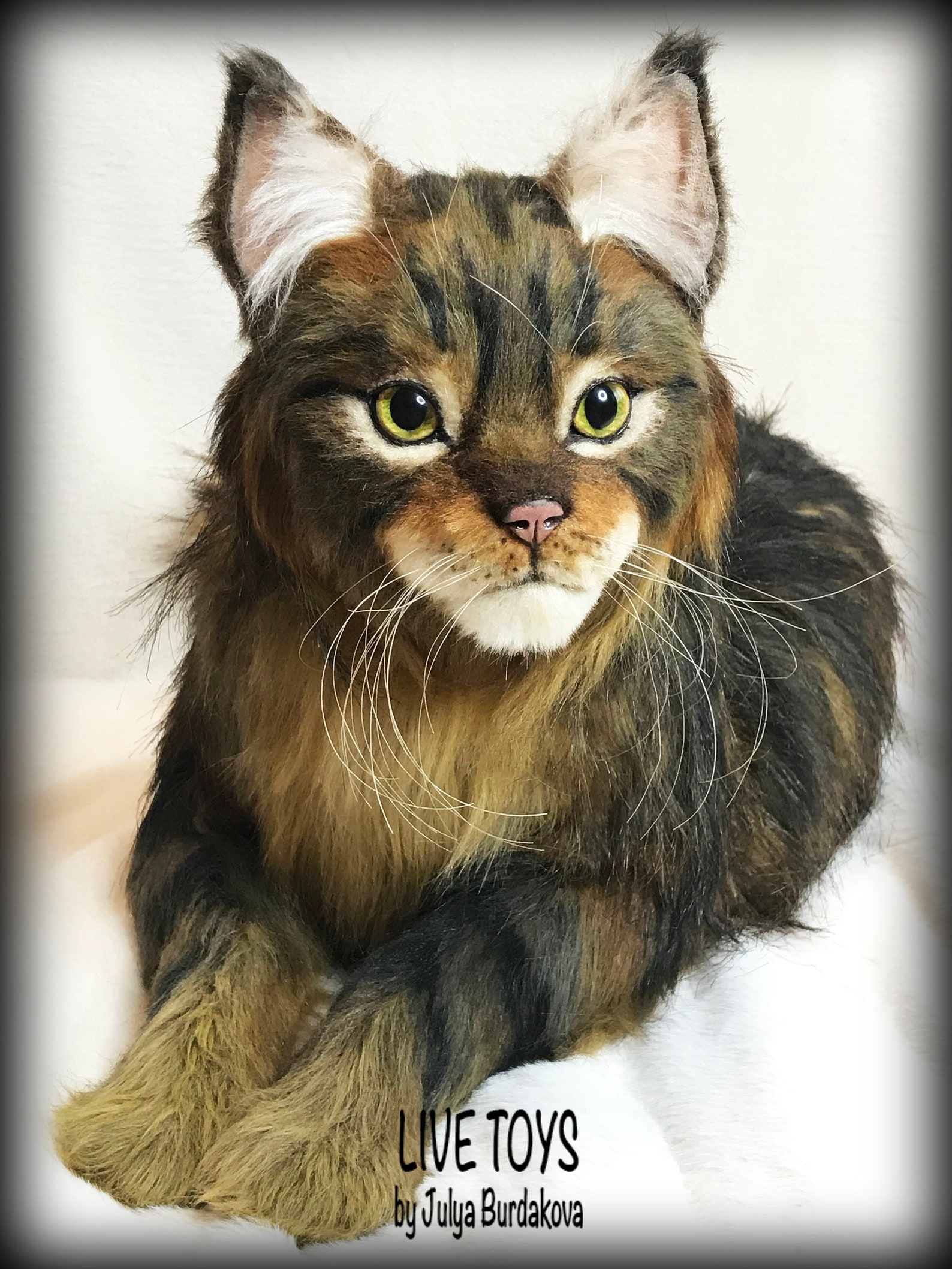 Stuffed cat Maine coon custom pet portrait realistic toy Etsy
