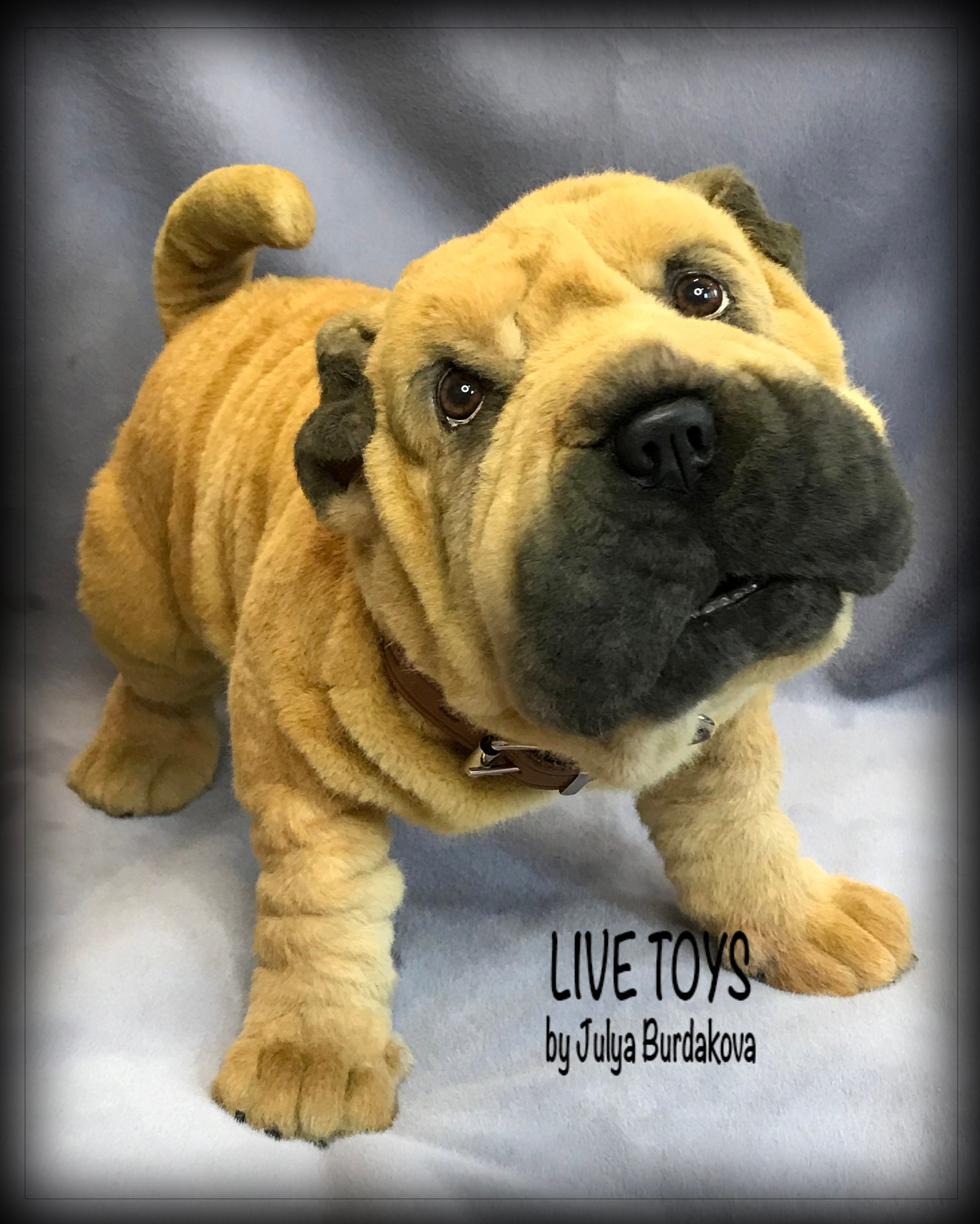 Shar pei plush shar pei puppy Puff stuffed animals Mohair | Etsy