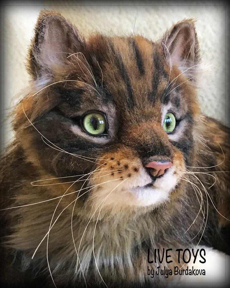 Stuffed cat Maine coon custom pet portrait realistic toy Etsy