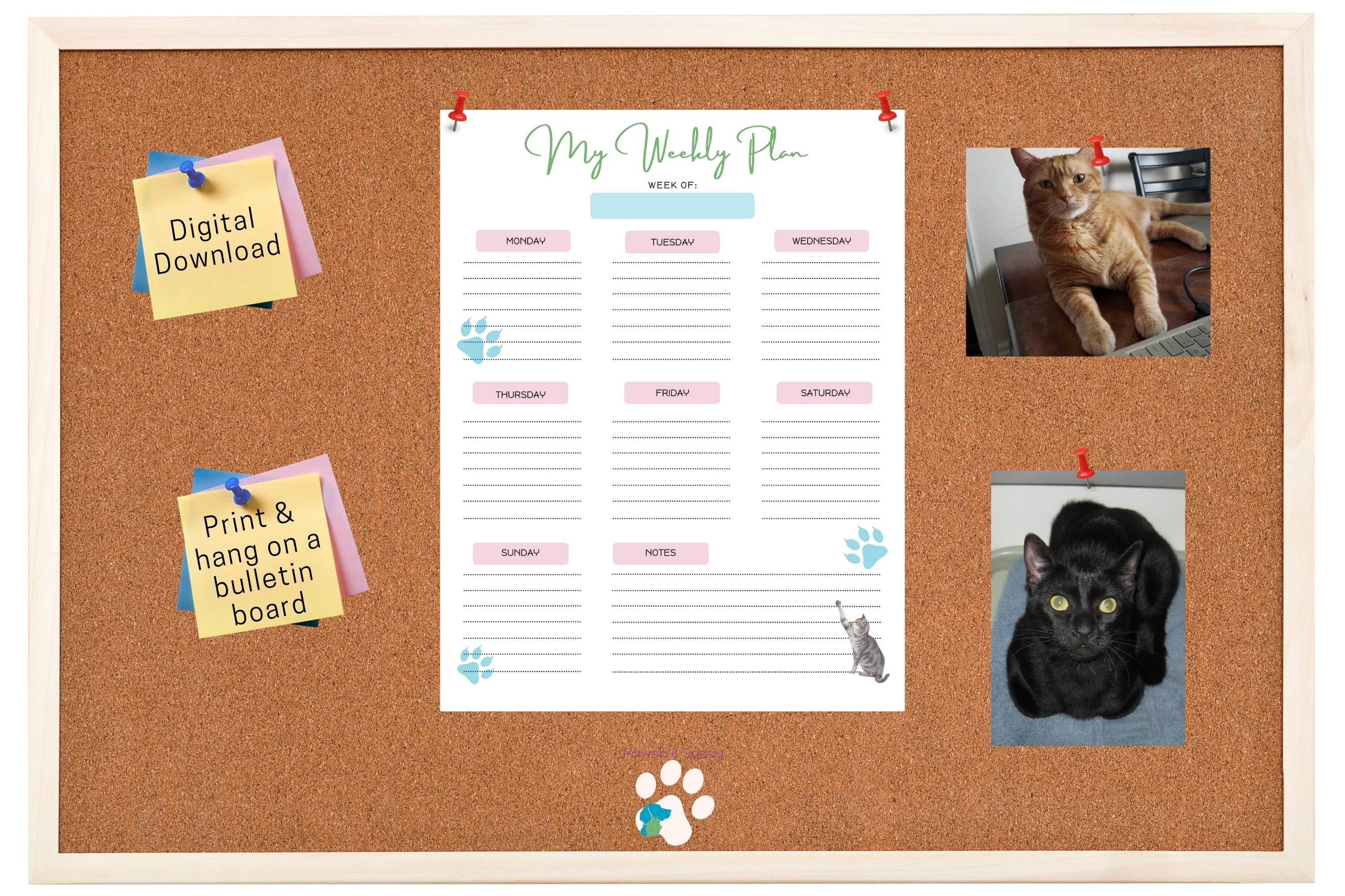 8.5" X 11" Daily, Weekly & Monthly Printable Planner Pages With Cats ...