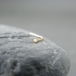 May include: A gold nose ring with a small, round bead at the end.