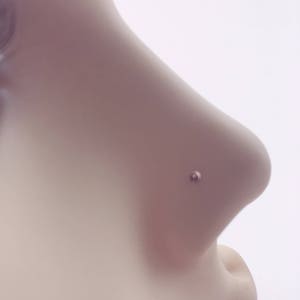 May include: A close-up of a person's nose with a small, round, gold nose ring stud.