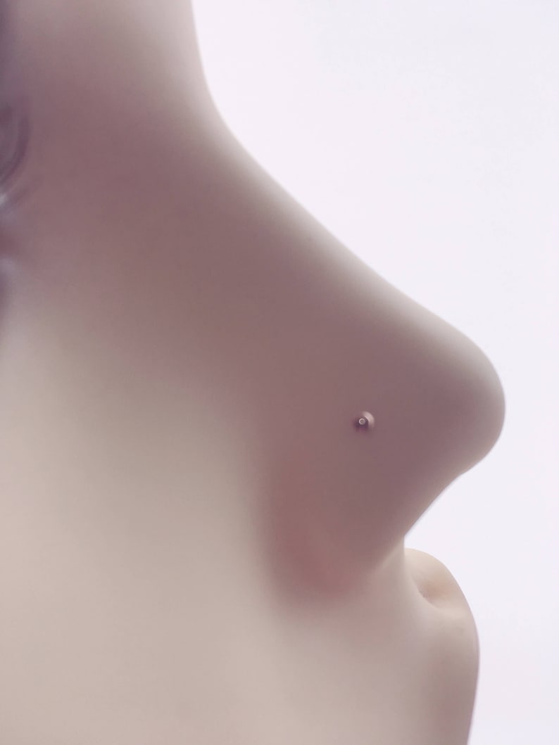 May include: A close-up of a person's nose with a small, round, gold nose ring stud.