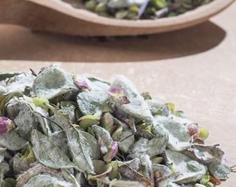 Cretan Dittany  Diktamo Dictamnus - Dried Flowers and Leaves Herb