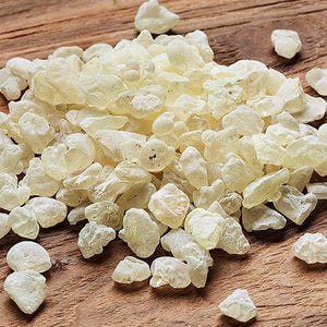 Goma de masilla 100 % natural, lágrimas frescas de la isla griega de Quíos