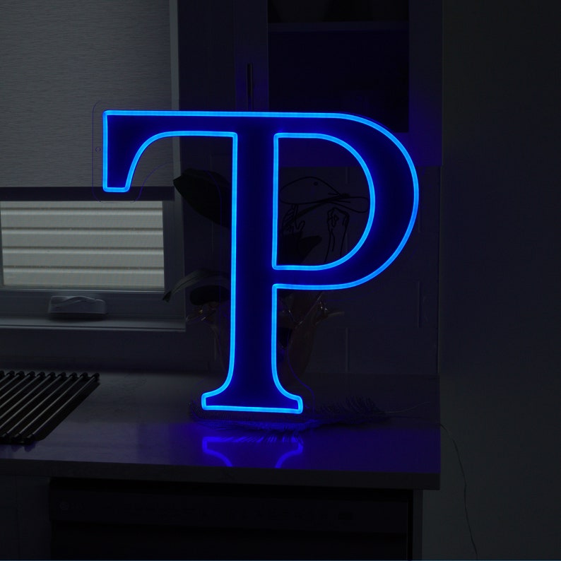 custom led neon sign for businesses offices warehouses shops light vintage restaurants beauty bar lashes spa small business signage pizza fast food
