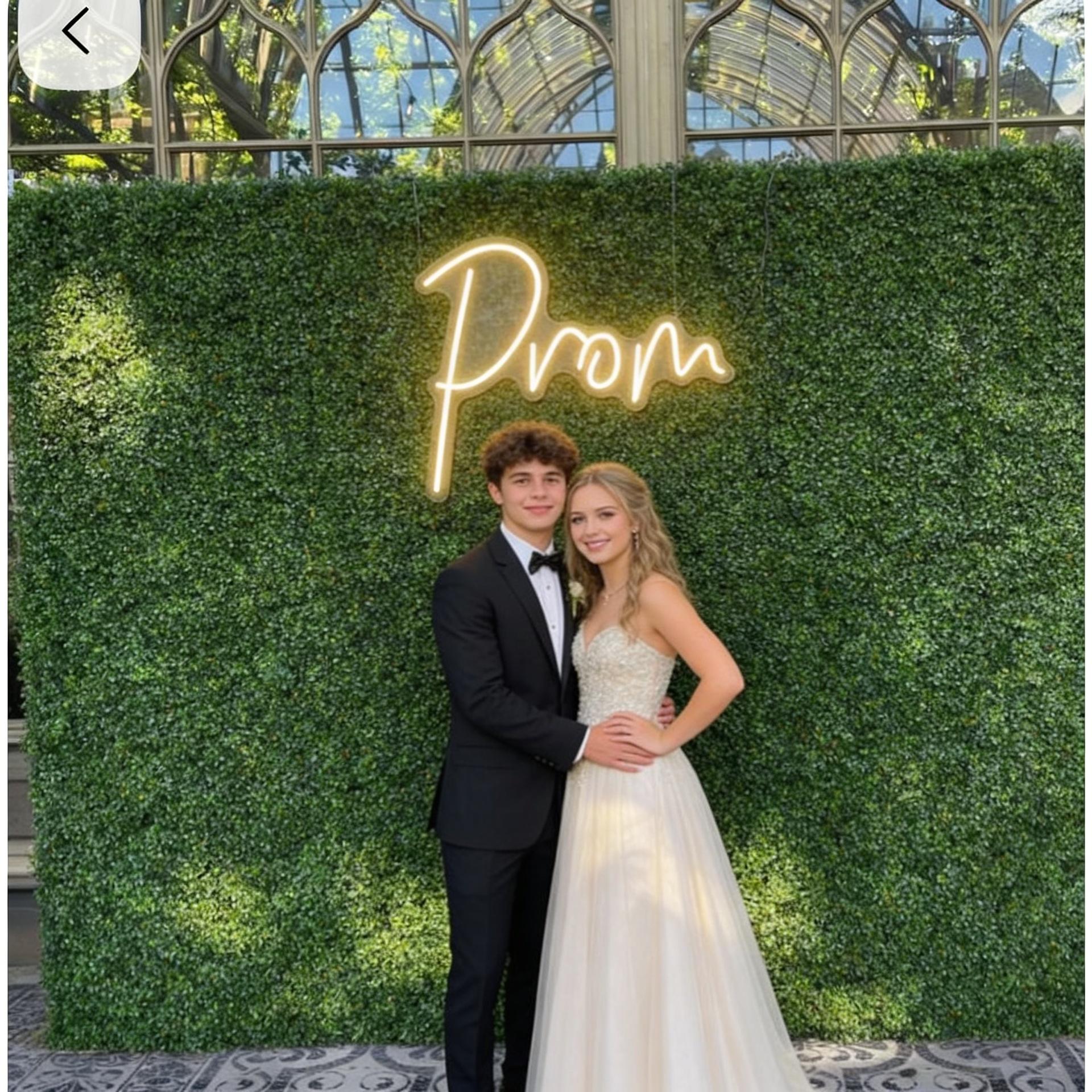 Creative Prom Signes Custom Prom Neon Sign, LED Neon Sign for Prom Night, Decorations for ...