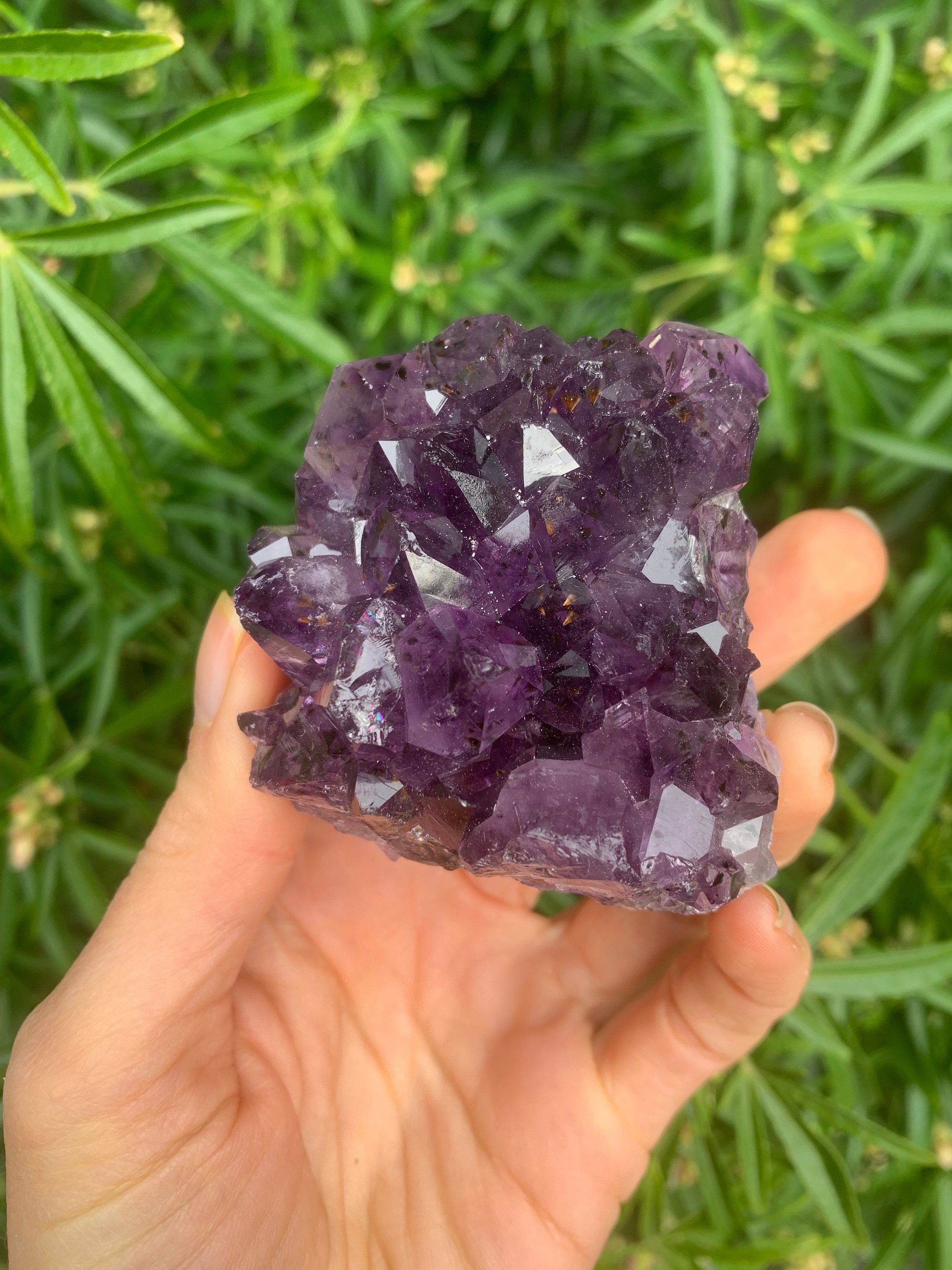 Small amethyst cluster shop