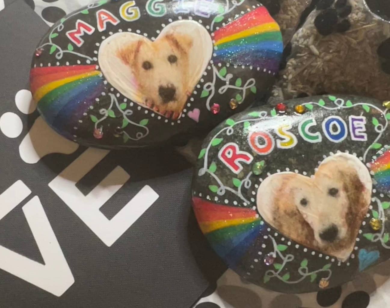 Rainbow Painted Pet Rocks - Made To Be A Momma