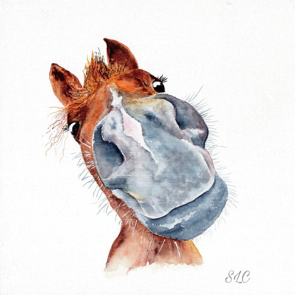 Horse blank card. Print of painting of a horse by Sarah Caisey