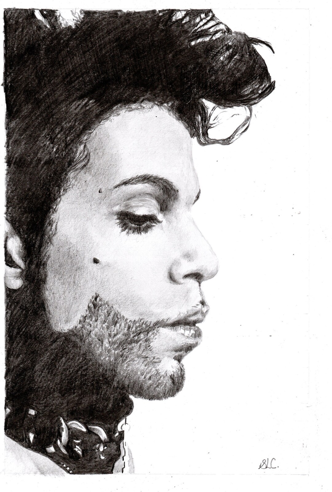 Prince Drawigs Prince Blank Card. Print of Pencil Drawing by Artist Sarah Caisey - Etsy