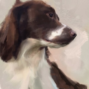Springer Spaniel Dog Print Dog Lover Gifts Fine Art Giclee Print