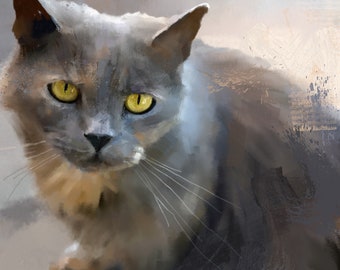 Può includere: Primo piano di un gatto grigio con occhi gialli. Il gatto sta guardando direttamente lo spettatore. Lo sfondo è sfocato e fuori fuoco.