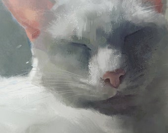 White Cat Print Fine Art Giclee Print White Cat Lover Gifts