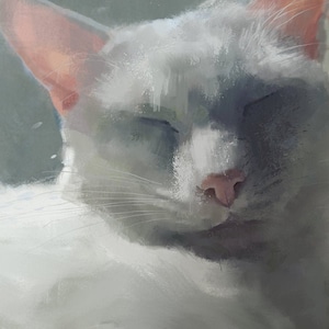 White Cat Print Fine Art Giclee Print White Cat Lover Gifts