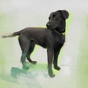 Black Labrador Dog Print Fine Art Giclee Print Black Lab Retriever Dog Lover Gifts