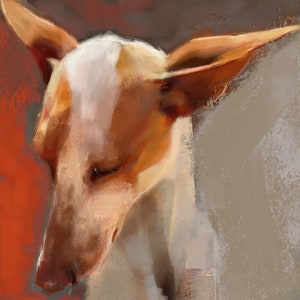 Podenco Dog Fine Art Giclee Print Sighthound Dog Lover Gifts