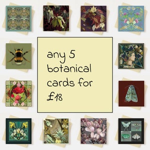Puede incluir: Una colección de tarjetas botánicas cuadradas con varios diseños florales e insectos. Las tarjetas presentan imágenes de flores, hojas, una abeja y una polilla. El texto sobre un fondo amarillo dice "any 5 botanical cards for £18".