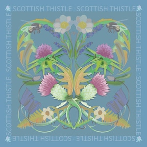Scottish Thistle Print Scotland Gift Ideas Scottish Flowers