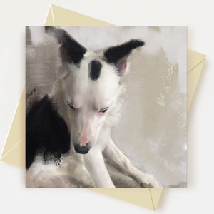 Carte de voeux border collie Cadeaux pour amoureux des chiens Carte d'anniversaire de chien de berger Carte de remerciement