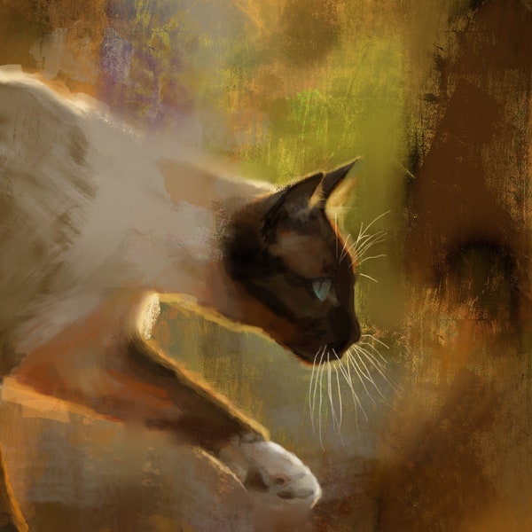 Siamese Cat Print / Fine Art Giclee Print Cat Lover Gifts