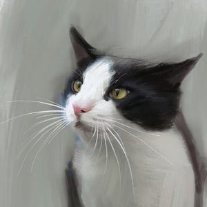 Tuxedo Cat Fine Art Giclee Print Black & White Cat Lover Gifts