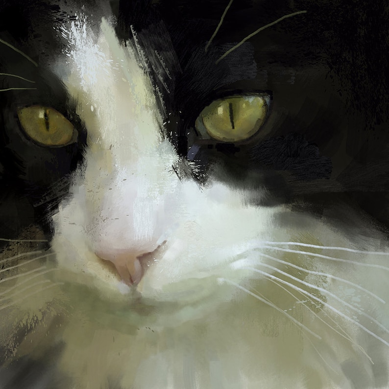 Black and White Cat Print Fine Art Giclee Print Tuxedo Cat Lover Gifts Cat Print