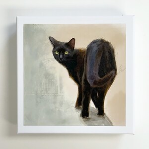 Black Cat Cards Gift Set — 7 Unique Realistic Cat Notelets for Cat Lovers
