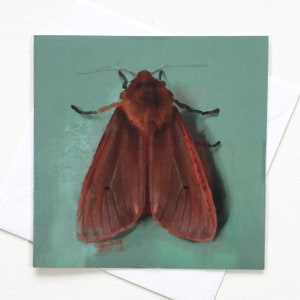 Carte de voeux mite Carte de remerciement mite Carte insecte papillon Carte mite rouge rubis