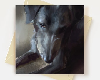 May include: A close-up portrait of a black dog with a sad expression. The dog's fur is soft and fluffy, and its eyes are dark and soulful. The dog is looking down at the camera, and its head is tilted slightly to the side.