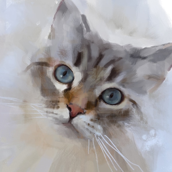 Grey Ragdoll Cat Print Fine Art Giclee Print Rag Doll Cat Lover Gifts Silver Tabby Cat