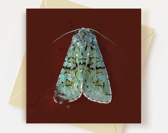Green Marble Moth Greeting Card Moth Thank You Card Butterfly Bug Card