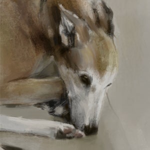 Lurcher Dog Print Fine Art Giclee Print Sighthound Dog Lover Gifts