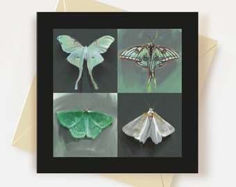 Moth Birthday Card Luna Moth Thank you Card Butterfly Card Spanish Moon Moth Card