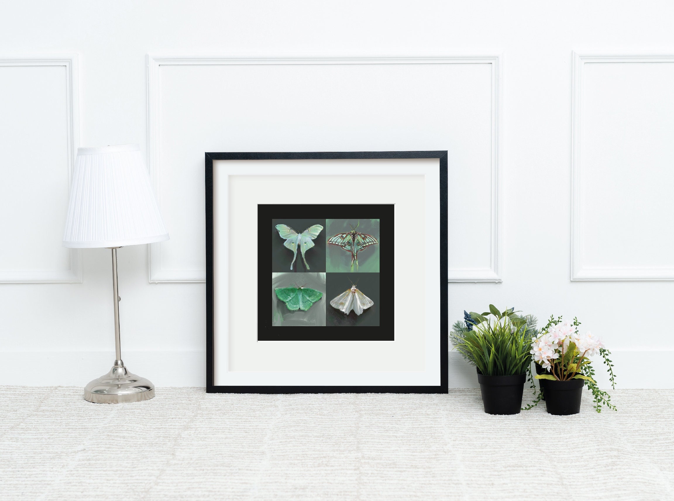 Luna Moth Art Print Luna Moth Taxidermy Art Butterfly Paintings Spanish ...