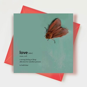 Definição de amor Cartão de dia dos namorados, Cartão de amor de mariposa vermelha, Cartão de belas artes de dia dos namorados